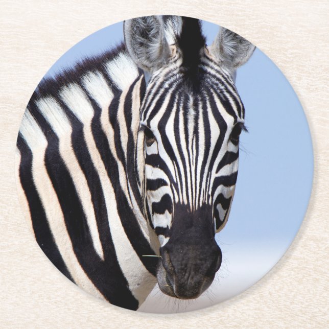 Zebra tittar på dig underlägg papper rund (Framsidan)
