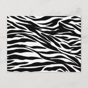 zebra, tom vykort