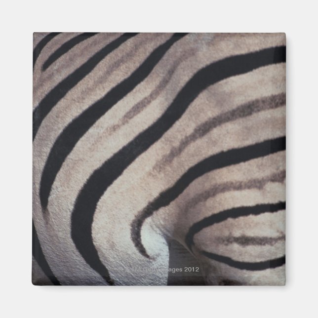Zebra tryck magnet (Framsidan)