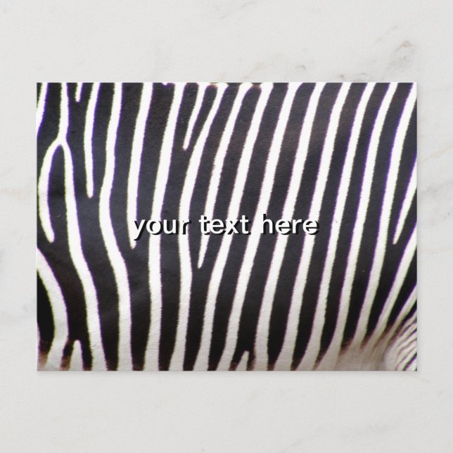 Zebra tryck vykort (Framsida)