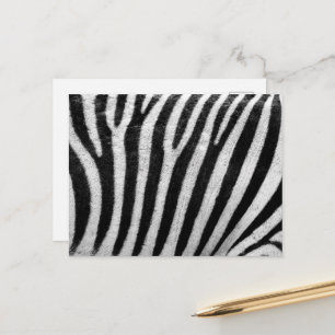 Zebra tryck, Zebra ränder, svart och vitt Vykort