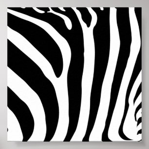 Zebra tryckaffisch poster