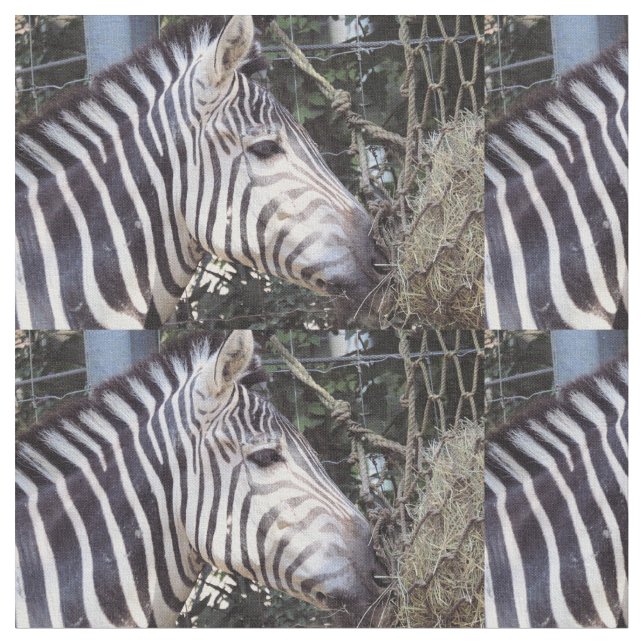 Zebra Tyg (Närbild)