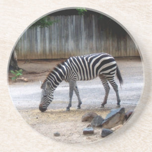 Zebra Underlägg Sandsten
