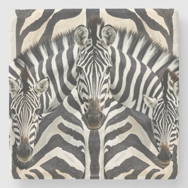 Zebra Underläggs Stenunderlägg (Framsidan)
