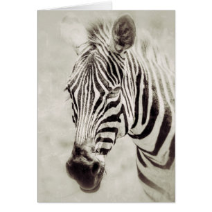 Zebra: Upp Close och Personal Hälsningskort
