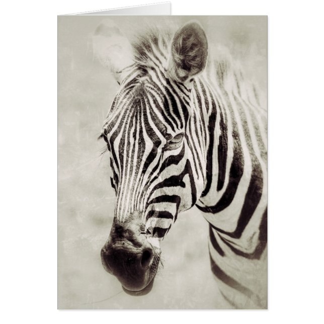 Zebra: Upp Close och Personal Hälsningskort (Framsidan)