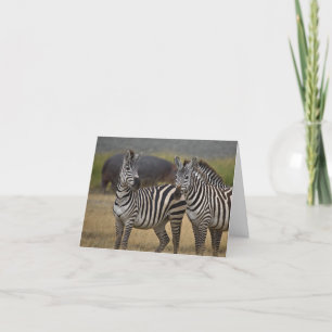 Zebra-vänskap-kort Kort