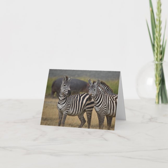 Zebra-vänskap-kort Kort (Framsida)