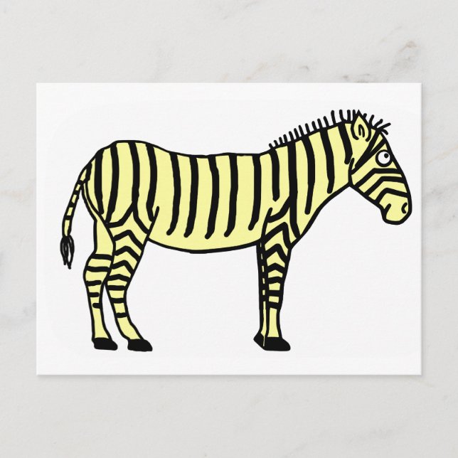 Zebra Vykort (Framsida)