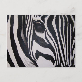 Zebra Vykort