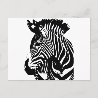 Zebra Vykort