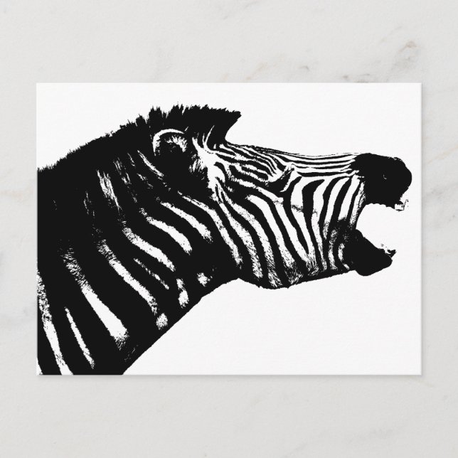 Zebra Vykort (Framsida)