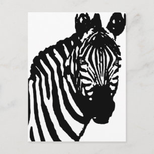 zebra. vykort