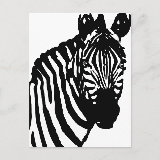 zebra. vykort (Framsida)