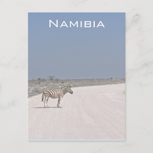 Zebra, vykort för Namibia (Framsida)