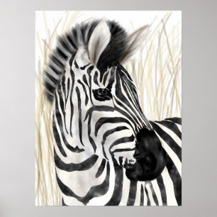 Zebra Wall Art Home Decor Poster