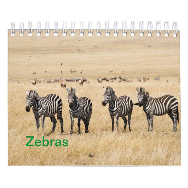 Zebra Wall Calendar Kalender (Omslag)