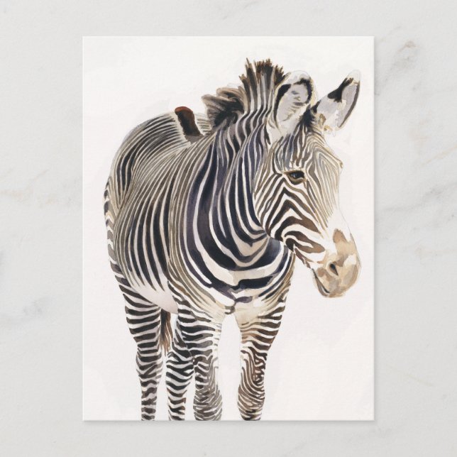 "Zebra" Watercolor Wildlife Art Vykort (Framsida)