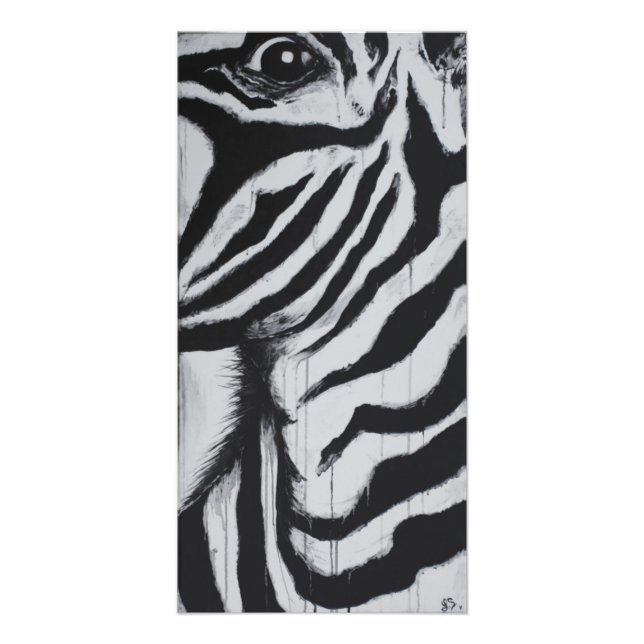 Zebra Wildlife African Plains Original Art Fototryck (Framsidan)