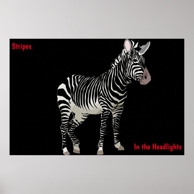 Zebraaffisch Poster (Framsidan)