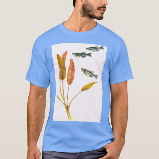 Zebrafish Brachydanio rerio T Shirt