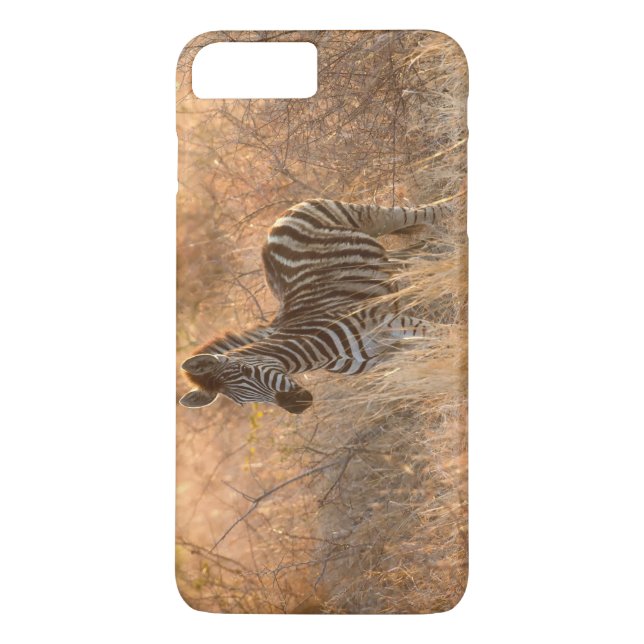 Zebrafol i morgonljus Case-Mate iPhone skal (Baksida)