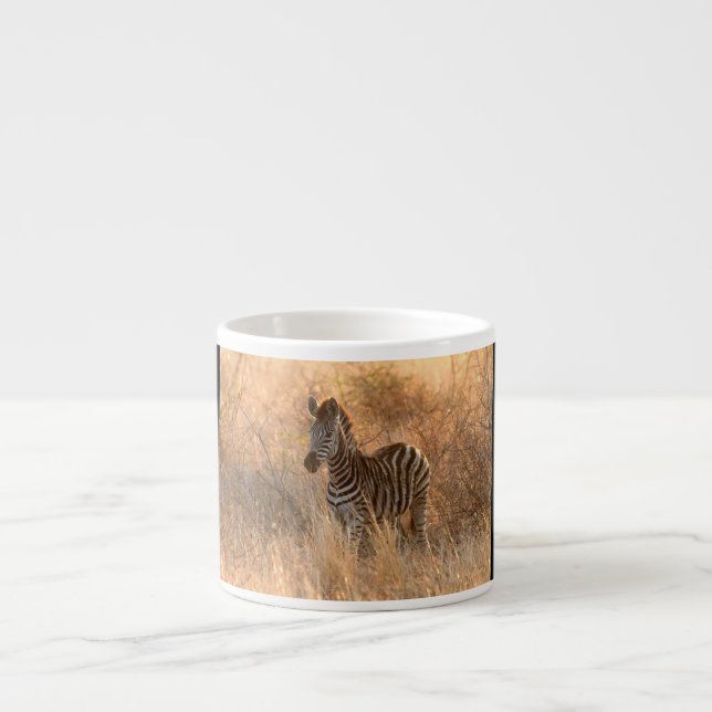 Zebrafol i morgonljus espressomugg (Framsidan)