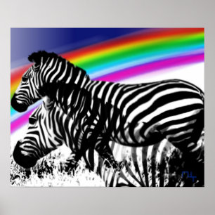 Zebra's dröm om regnbåge poster