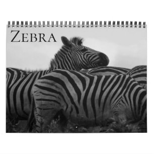 zebrasafari 2027 kalender