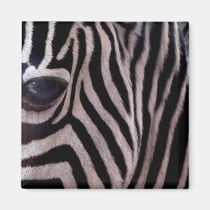 Zebrastreck Magnet