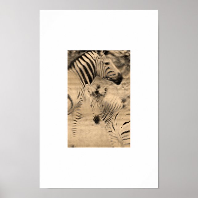 Zebrix Poster (Framsidan)