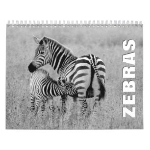 Zebröder 2022 Väggskalender Kalender