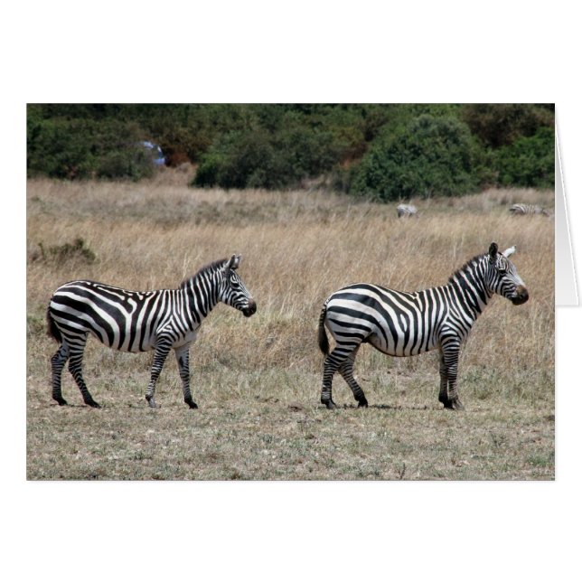 zebröder hälsningskort (Framsidan Horizontal)