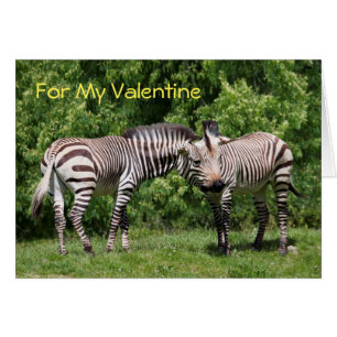 Zebröder i Kärlek Valentinkortet Hälsningskort
