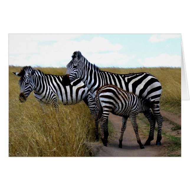 ZEBRÖDER OCH BABY ZEBRA HÄLSNINGSKORT (Framsidan Horizontal)