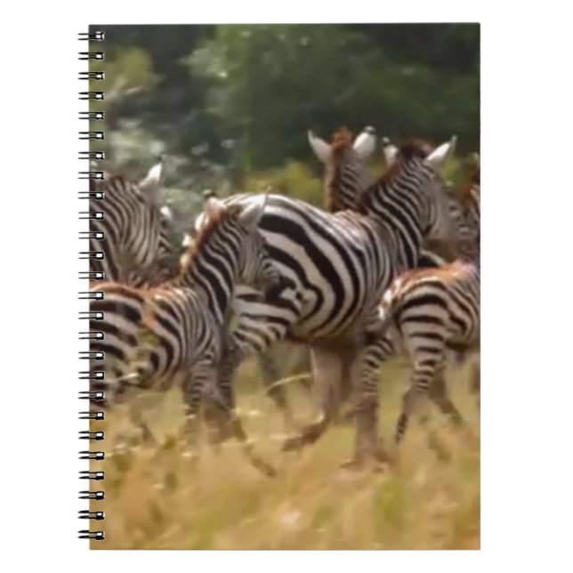 Zebröder på väg: En resa med tusen mil Anteckningsbok Med Spiral (Framsidan)