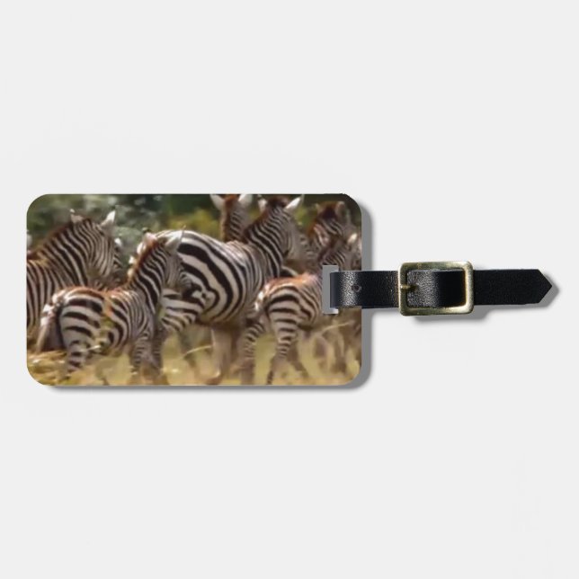 Zebröder på väg: En resa med tusen mil Bagagebricka (Horisontell Framsida)