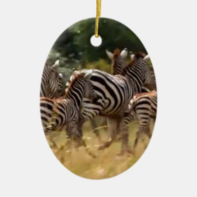 Zebröder på väg: En resa med tusen mil Julgransprydnad Keramik (Framsidan)