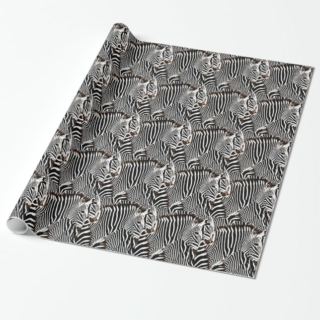 Zebror kärlek_ presentpapper (Utrullad)