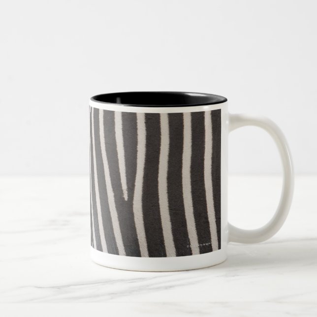 Zebror Två-Tonad Mugg (Höger)