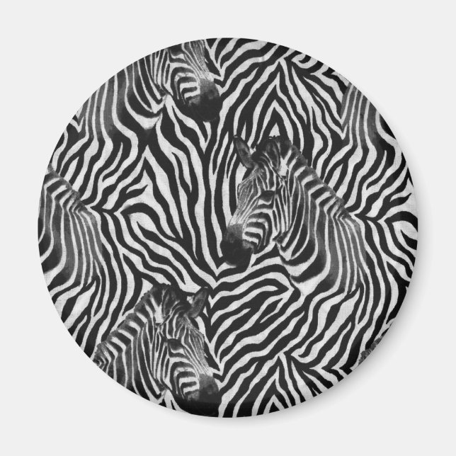 Zebtas Magnet (Framsidan)