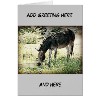 "Zedonk ", Hälsningskort