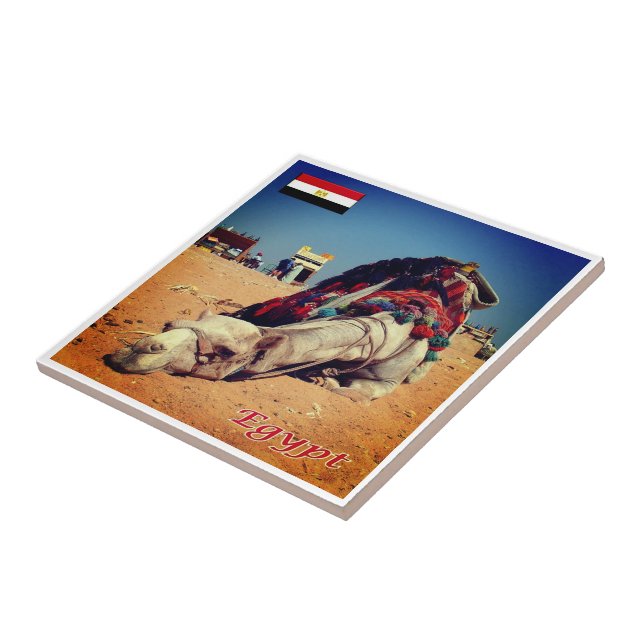 zEG021 EGYPTEN, kamel, Afrika, Kakelplatta (Sidan)