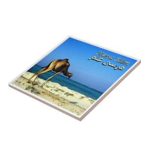 zEG047 MARSA ALAM, Red Sea, Egypten Kakelplatta