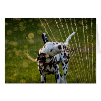 Zeke i Sprinkler Hälsningskort