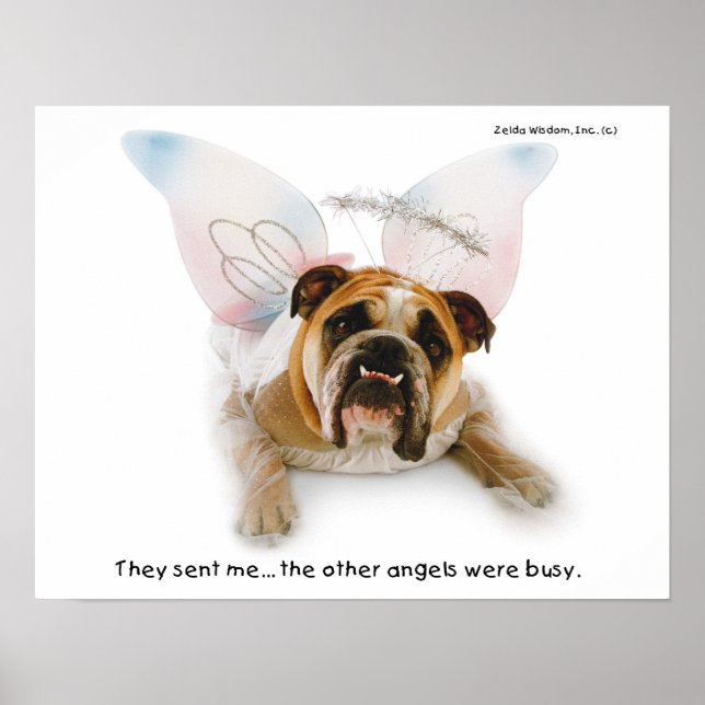 Zelda Angel Poster (Framsidan)