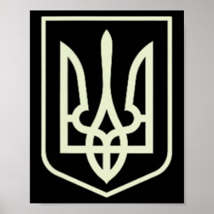 Zelenskyy Ukrainsk Armé Tröja Ukraina Militär Uk Poster