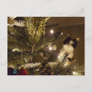 Zelma with the christmas tree helg vykort