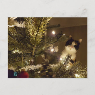 Zelma with the christmas tree helg vykort